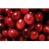 Cranberry Extract